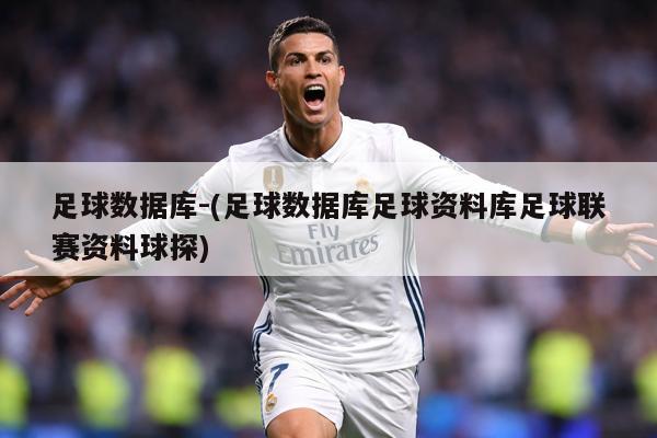 足球数据库-(足球数据库足球资料库足球联赛资料球探)